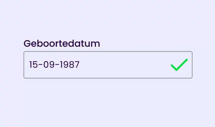 afbeelding-visuele-bevestiging-invoerveld.png