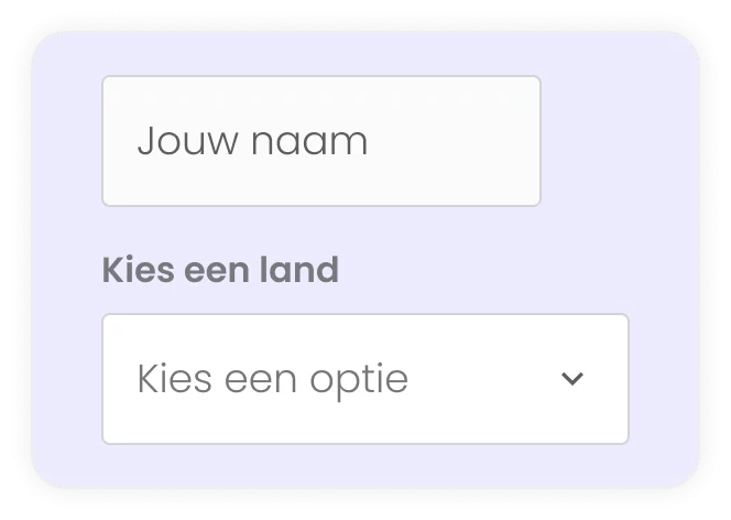 inconsistente invoervelden van formulier voorbeeld
