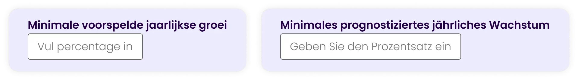 Meertalige formulieren op website voorbeeld