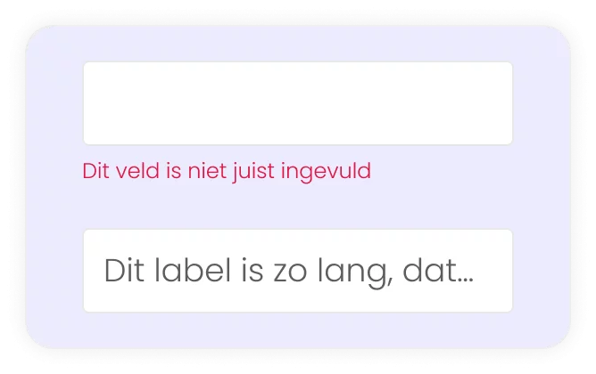 Voorbeeld slechte formulieren op website